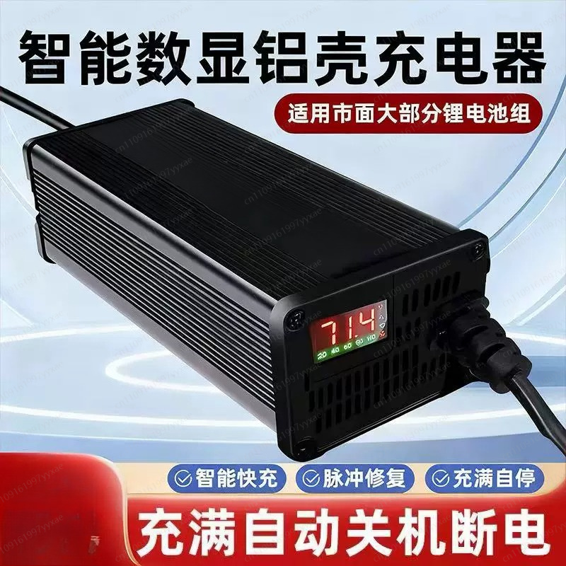 48V 60V 72V Smart LiFePO4 Li-i - 72V 15A Fast Charger ulasan dan harga